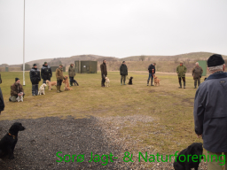Hundetræning forår 2016